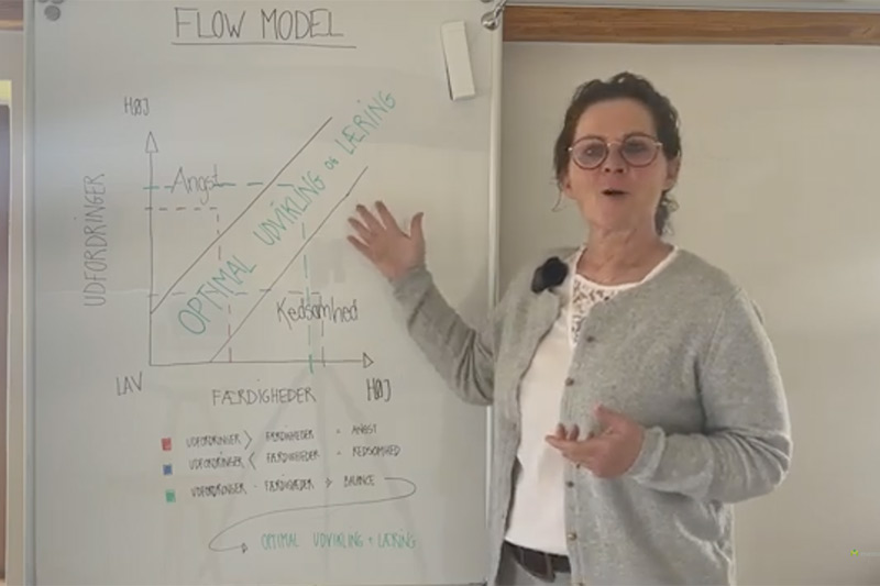 Video Flowmodellen